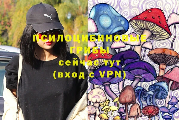 2c-b Верхний Тагил