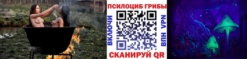 Псилоцибиновые грибы Psilocybine cubensis  Каменка 